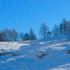 P1170328   A sx, il camoscio si muove lentamente.  In alto, a dx, sul ciglio della Val dei Ronchi, un camoscio di guardia.